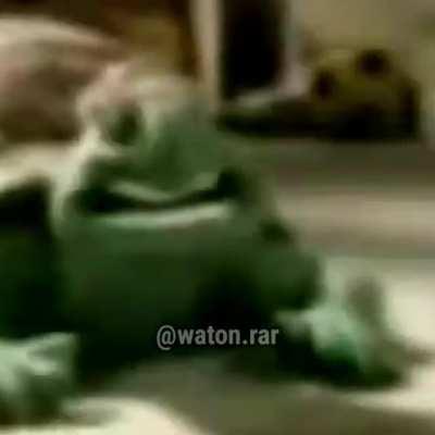 Te vay al Music Awards qlio