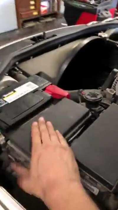 Just needs a little pat of encouragement