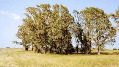 Ruta nacional 3 km 774