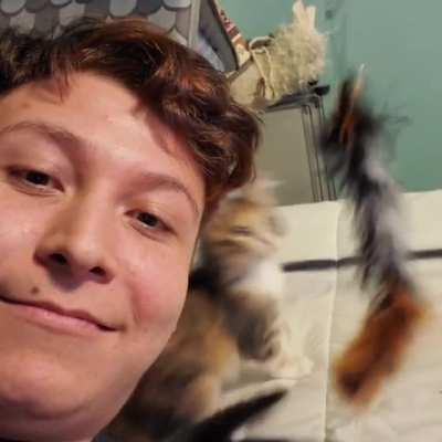 Two in the head you know they're dead