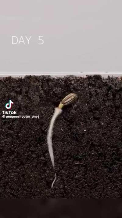 Insert interesting title 