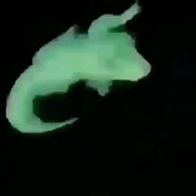 End credits simplified