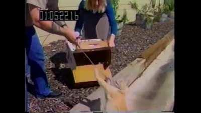 WCGW if you make Pinky angry