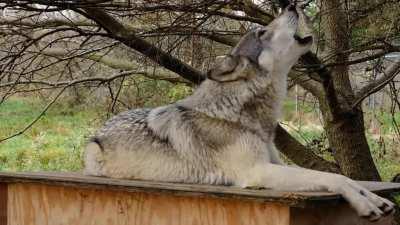 A little something for the soul