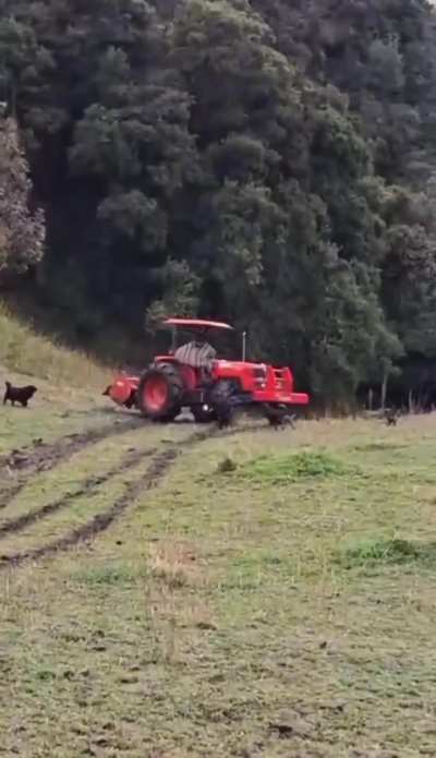 The risk farmer’s are taking 😱