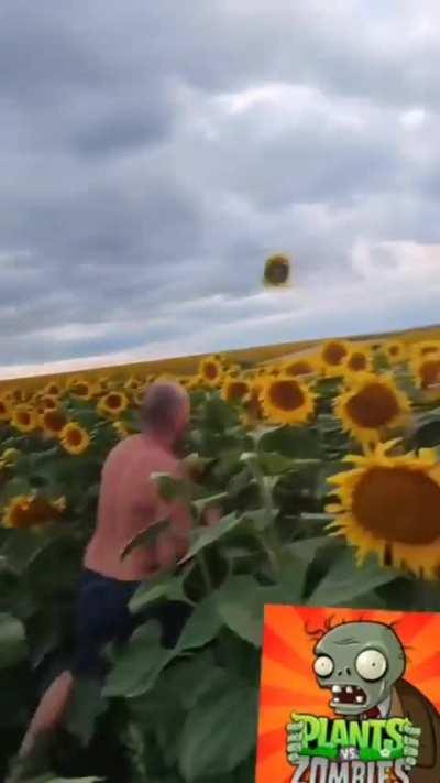 Fuck These Flowers