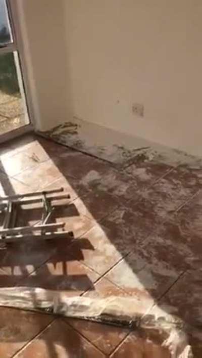 Messed up the owners house after taking too much