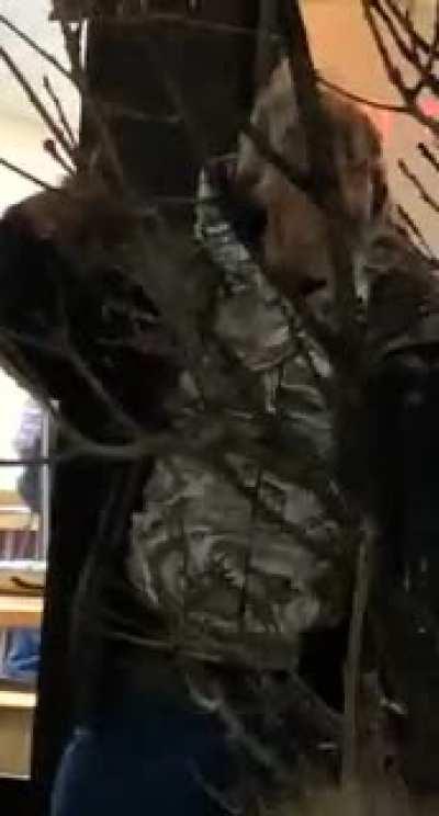 This guy in Chicago arguing with nobody