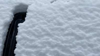 Satisfying Car Door Closure