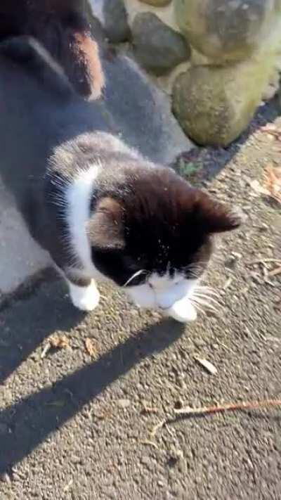 Some people are just evil...