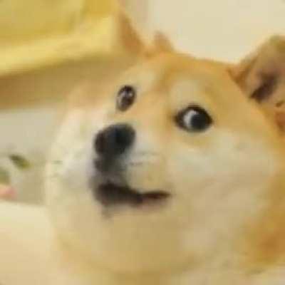 I was just trying to make a baka mitai meme but summoned something from a dark and mysterious place