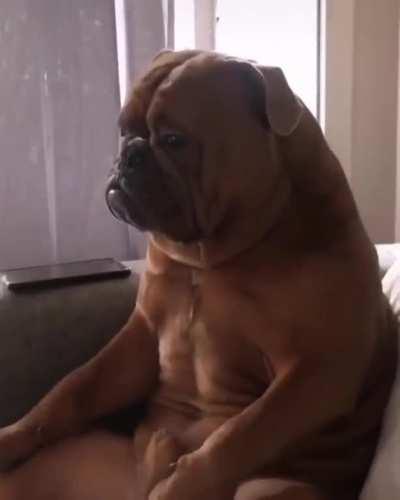 Seriously man, why are we still watching this?