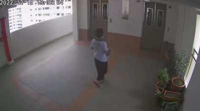 POS kid throws cat off 22th storey