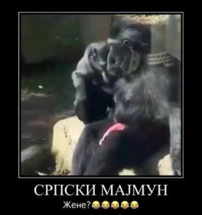 Croats gey likes sperm🇭🇷🤡🇭🇷🤡🇭🇷🤡🇭🇷