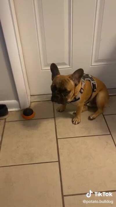 Fuck Daylight Savings