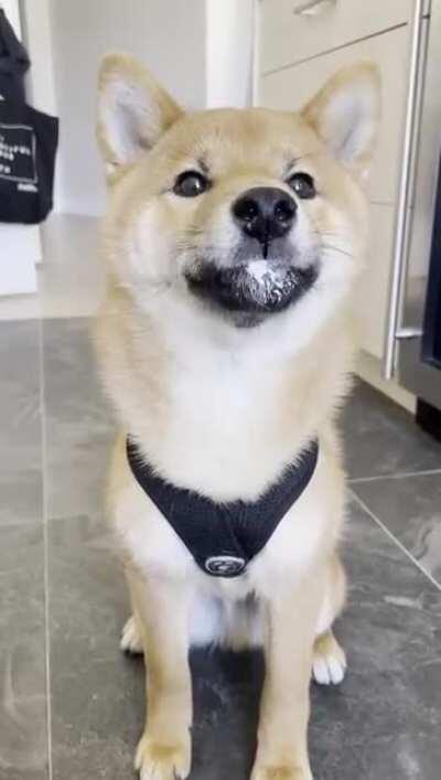 Do I have yogurt on my face?....did that get it?