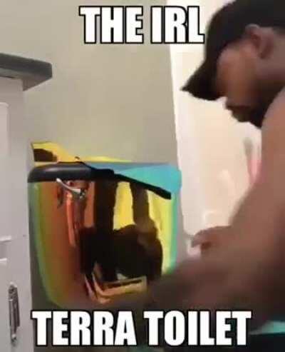 Shiny Terra Toilet