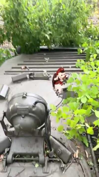 Noncredible tank capture celebration