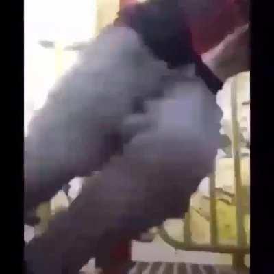 WCGW playin with baby snake