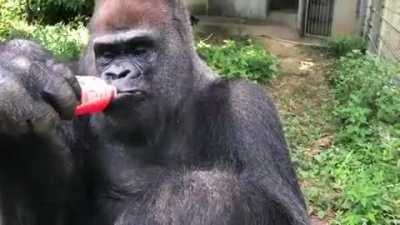 Using a bottle, just like us!