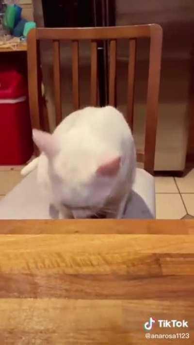 As someone who hates the effect of cutting onions, this bothers me