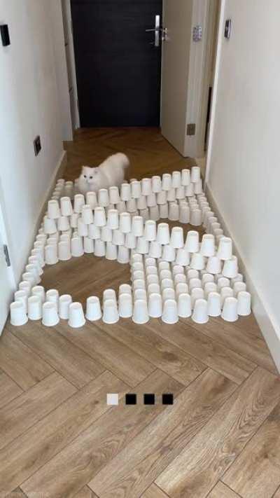 She passed d obstacle course!