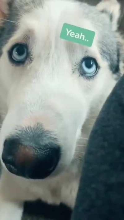 New ability unlocked