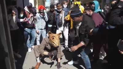 he taught those turtles well.