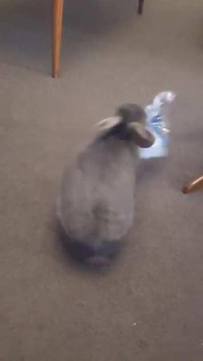 This crazy boy found the tissues