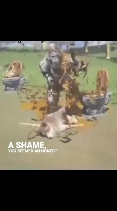 Lowkey gorilla's fault