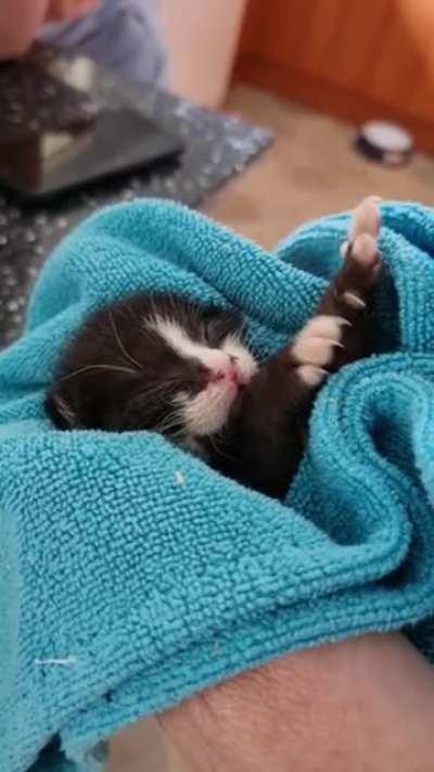 Probably doesn’t have a license to carry those weapons