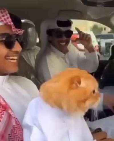 Man got the white shirt on