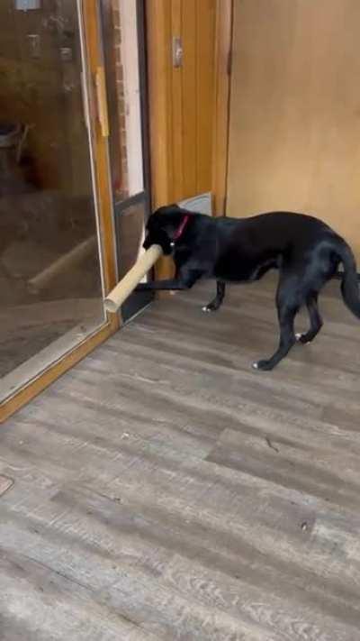 Dante is working it out... Tab A into slot B :)