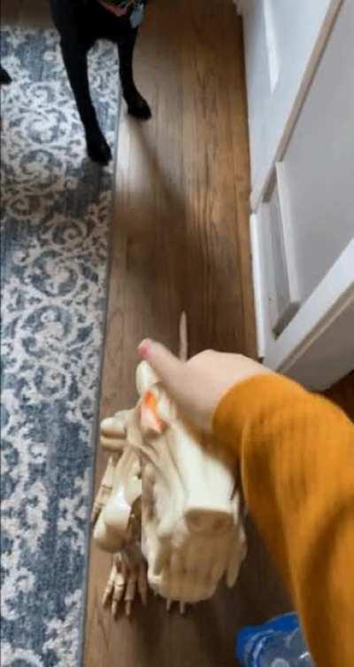 Am I getting... replaced?!!