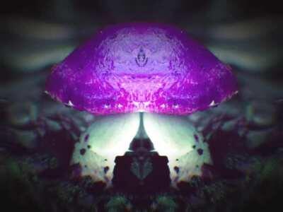 I made some psychedelic shrooms. Enjoy. [OC]
