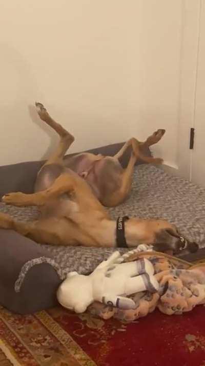 Dreaming about something nice