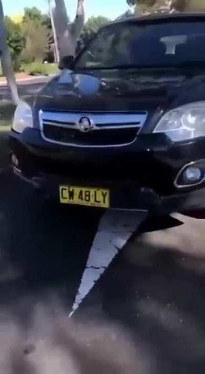 Protestor vs Anti-Protestor takes unexpected twist [NSFW - Language]