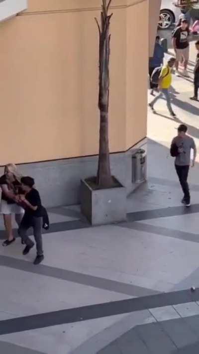 grupo de delincuentes asalto a pareja de ancianos, Viña del mar.