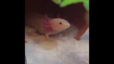 ustedes pongale titulo porque yo ya me canse