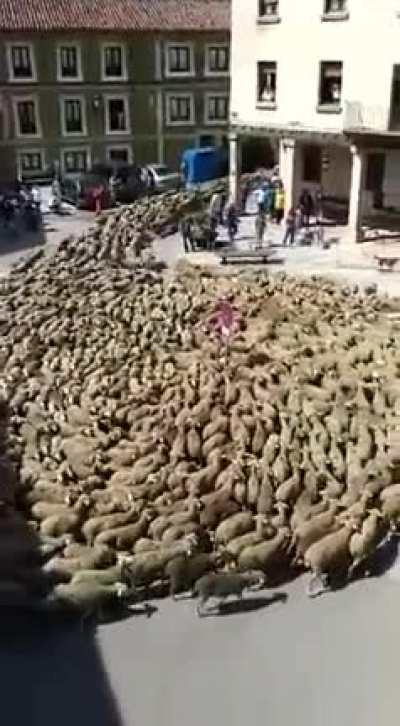 Chegaram chegaram... Chegaram? Chegaram... Tão chegando