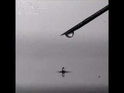 This is a coalescence cascade. When droplets of water contact the surface of water, it gradually bounces up and down until it is absorbed.