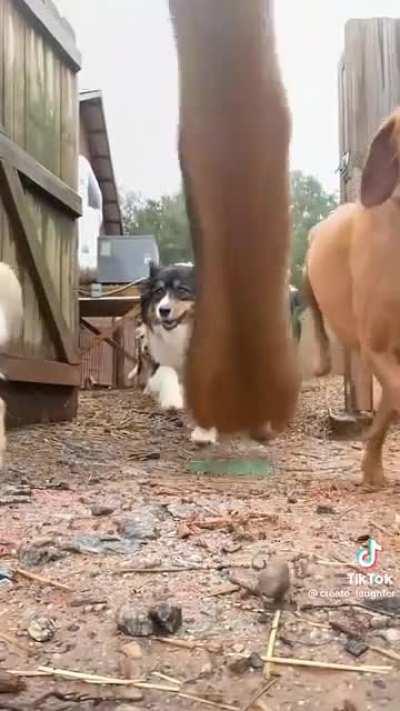 Here comes the cavalry