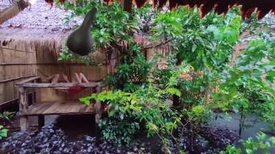 Raining outside our hut in north east cambodia near the Laos and Vietnam borders