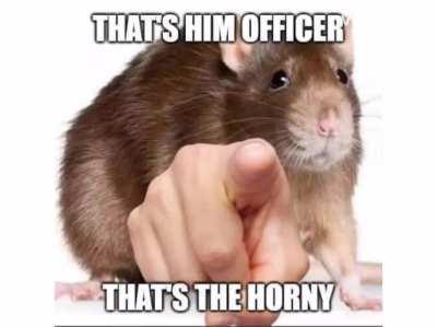 Stop right there criminal scum!