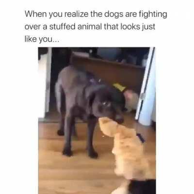 A preview of what’s to come