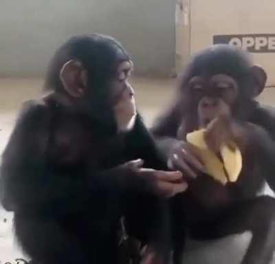 Brother help brother