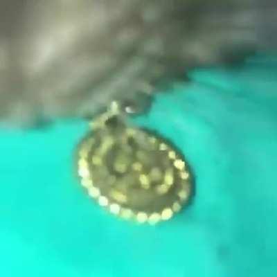 blursed_BiggieCheese