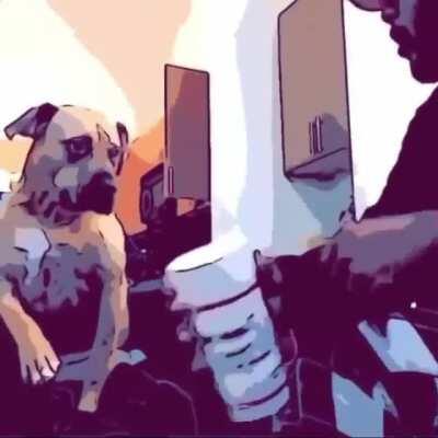 me and my dog discussing what snippets will be on wlr deluxe