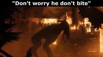 his name is cupcake 🤗