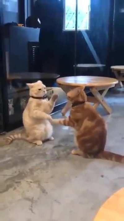 When they are bored, they know how to have fun.